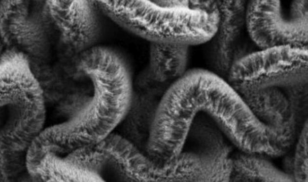 行业新闻：可拉伸的超等电容器，为柔性可穿戴设备铺路